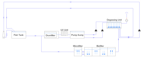 Schematic of generic RAS system A